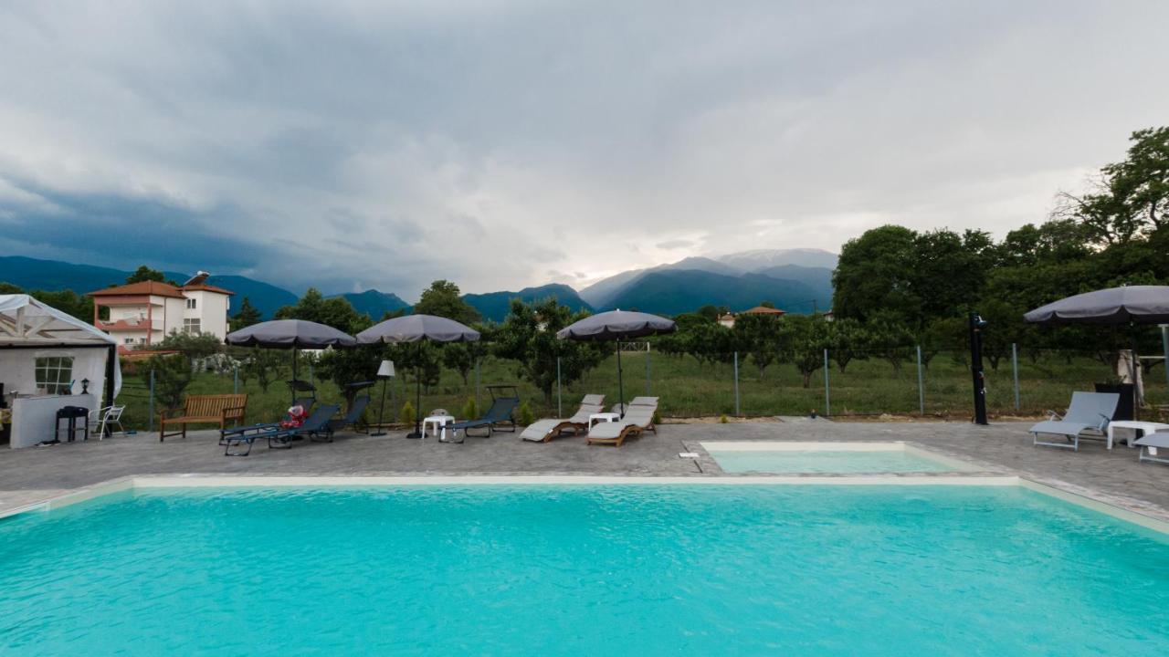 Ntinasvillage Leptokarya  Dış mekan fotoğraf