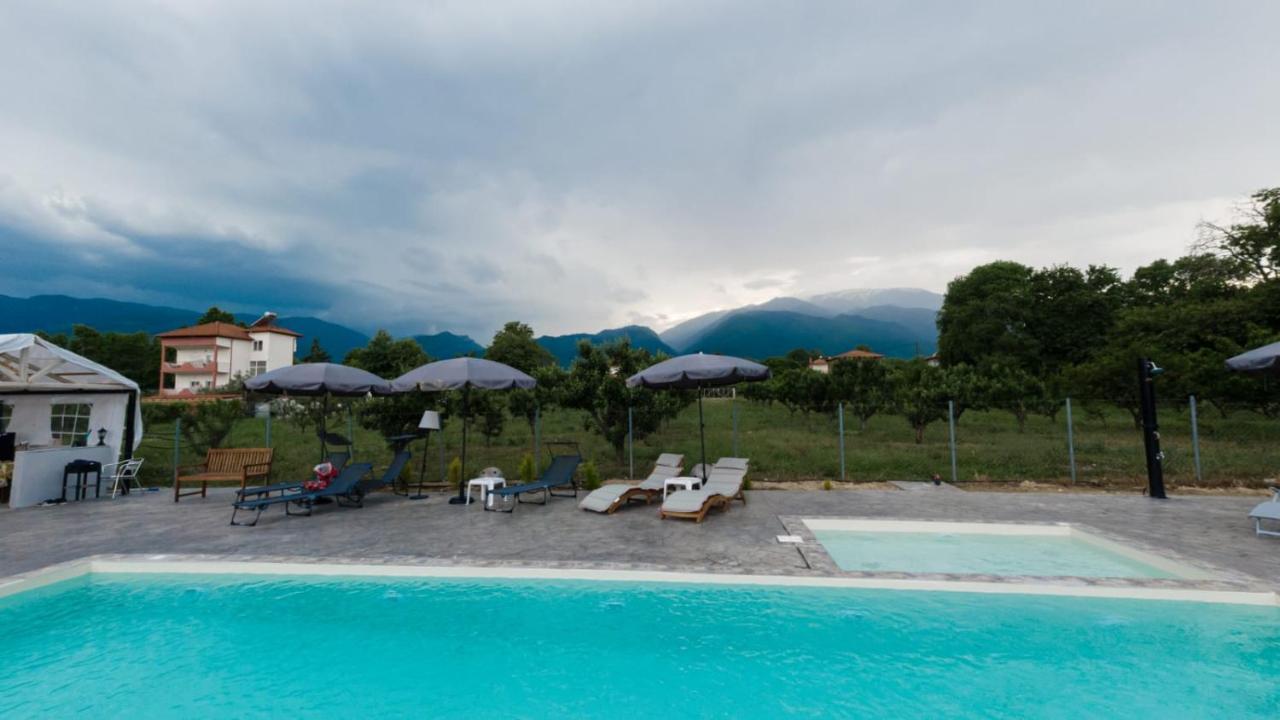 Ntinasvillage Leptokarya  Dış mekan fotoğraf