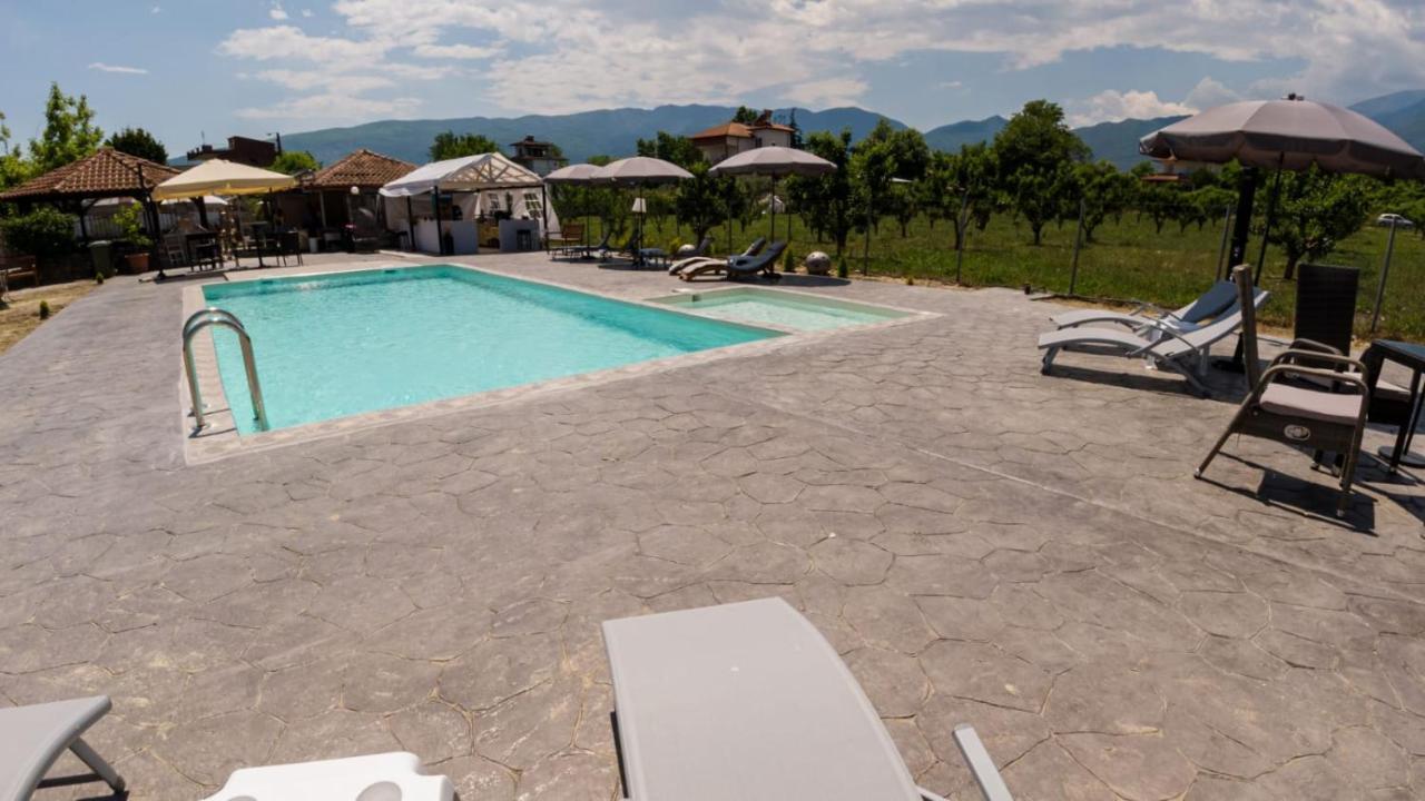 Ntinasvillage Leptokarya  Dış mekan fotoğraf
